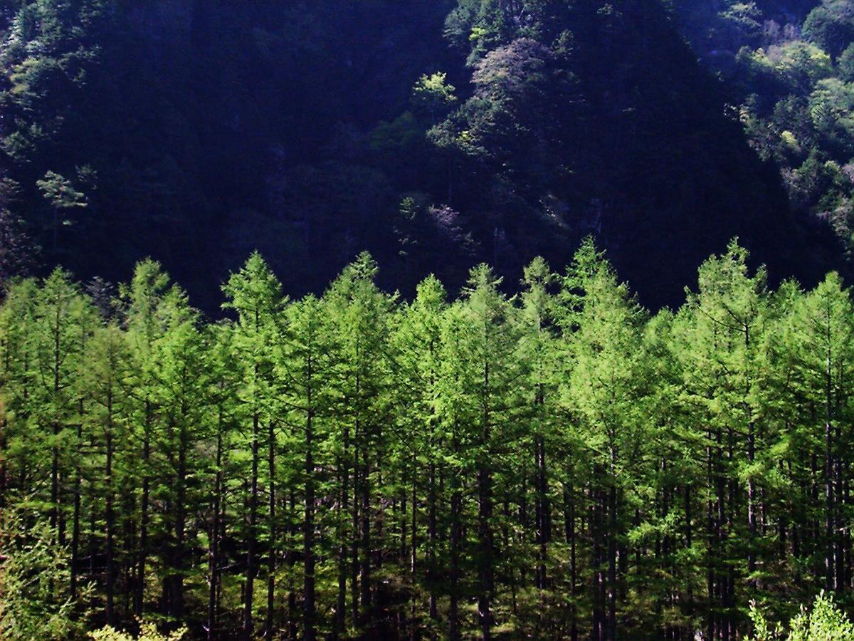Kamikochi Nishi-Itoya Mountain Lodge ماتسوموتو المظهر الخارجي الصورة